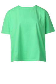  Boyfriend t-shirt Fizvalley | green