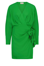 Freebird |  Wrap dress Kolette | green