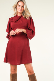 Freebird :  Chiffon dress Melissa | burgundy - img5