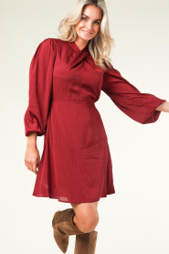 Freebird :  Chiffon dress Melissa | burgundy - img6