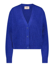 Freebird |  Knitted cardigan Parker | blue  | Picture 1