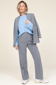 Dante6 |  Pleated trousers Fynn | grey  | Picture 2