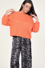 Dante 6 |  Soft openback alpaca sweater Ullysa | orange  | Picture 5
