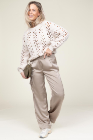 Dante 6 |  Satin cargo pants Harlow | taupe  | Picture 3
