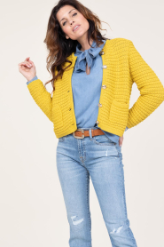 ba&sh |  Tricot cardigan Gaspard | yellow  | Picture 5