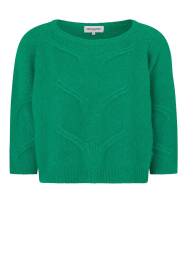 Lollys Laundry |  Cropped cable sweater Tortuga | green