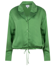 Dante6 |  Stretch silk blouse Emery | green  | Picture 1