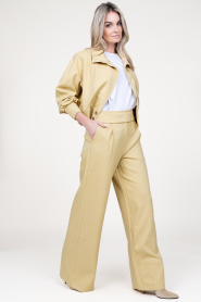 Aaiko |  Cropped jacket Vina | yellow  | Picture 3