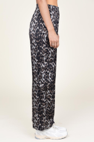 Co'Couture |  Leopard print cargo pants LeoLeo | animal print  | Picture 5