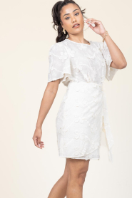 Aaiko |  Mini dress with embroidery Celina | natural | Picture 4