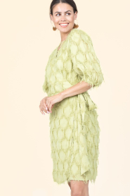 Aaiko |  Mini dress Florica | green | Picture 5