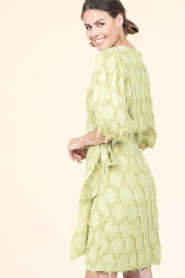 Aaiko |  Mini dress Florica | green | Picture 6