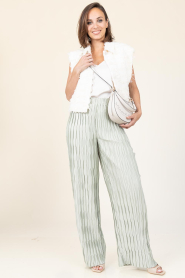 Dante6 |  Plissé trouser Lilium | green | Picture 2