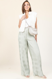 Dante6 |  Plissé trouser Lilium | green | Picture 3