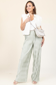 Dante6 |  Plissé trouser Lilium | green | Picture 4