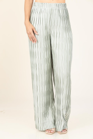 Dante6 |  Plissé trouser Lilium | green | Picture 5