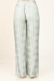Dante6 |  Plissé trouser Lilium | green | Picture 7