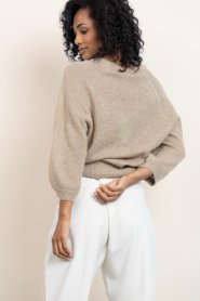 Dante6 |  V-hals Alpaca sweater Rhoda | beige | Picture 8
