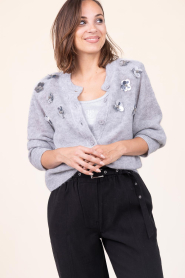 Dante6 |  Alpaca cardigan with sequins Fawn | grey | Picture 4