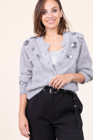 Dante6 |  Alpaca cardigan with sequins Fawn | grey | Picture 5