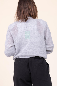 Dante6 |  Alpaca cardigan with sequins Fawn | grey | Picture 6