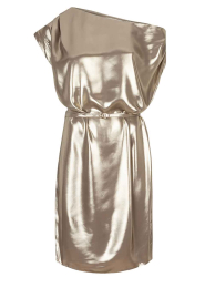Dante6 |  Metallic mini dress Grayson | metallic | Picture 1