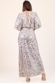 Dante6 |  Maxi skirt with sequins Sabre | silver | Picture 7