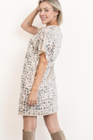 Dante6 |  Mini dress with sequins Badler | silver | Picture 9
