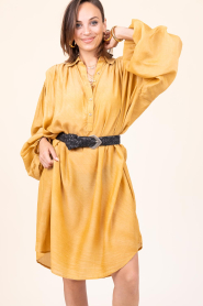 Mes Demoiselles |  Mini dress Felicia | yellow | Picture 2