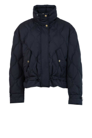 Bad Habits |  Padded puffer Sol | dark blue | Picture 1