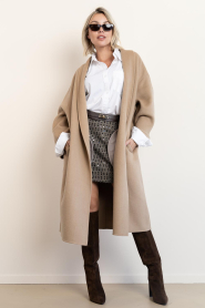 Aaiko |  Mini skirt with sequins Ariana | brown | Picture 3