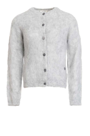 Club L'avenir |  Brushed mohair cardigan Edeh | grey | Picture 1