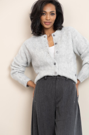 Club L'avenir |  Brushed mohair cardigan Edeh | grey | Picture 2