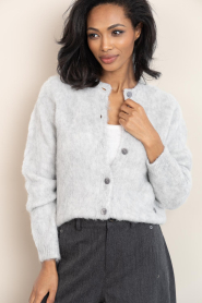 Club L'avenir |  Brushed mohair cardigan Edeh | grey | Picture 6