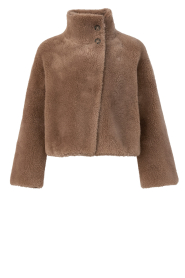 STUDIO AR |  Reversible teddy cape jacket Mallow | taupe | Picture 1