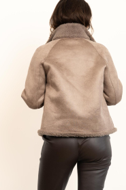 STUDIO AR |  Reversible teddy cape jacket Mallow | taupe | Picture 8
