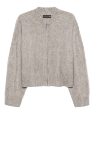 STUDIO AR |  Soft vest with zipper Harper | grey | Picture 1