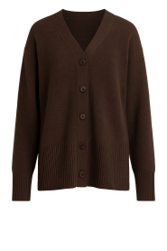 Deblon |  Long cardigan Florance | brown | Picture 1