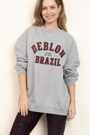 Deblon |  Sweater with text Malou | grey | Picture 2