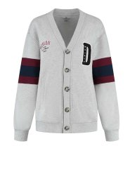 Deblon |  Cardigan with print Noah | grey | Picture 1