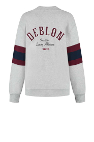 Deblon |  Cardigan with print Noah | grey | Picture 9