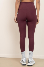 Deblon |  Legging Classic | bordeaux | Picture 6