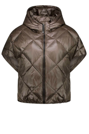 Deblon |  Padded bodywarmer Stevie | brown | Picture 1