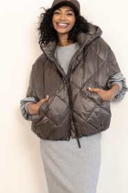 Deblon |  Padded bodywarmer Stevie | brown | Picture 6