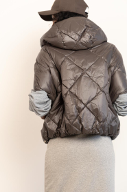 Deblon |  Padded bodywarmer Stevie | brown | Picture 8