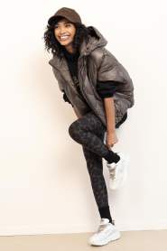 Deblon |  Padded bodywarmer Stevie | brown | Picture 4