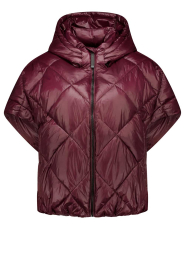 Deblon |  Padded bodywarmer Stevie | bordeaux | Picture 1