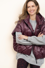 Deblon |  Padded bodywarmer Stevie | bordeaux | Picture 2