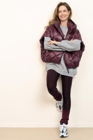 Deblon |  Padded bodywarmer Stevie | bordeaux | Picture 3
