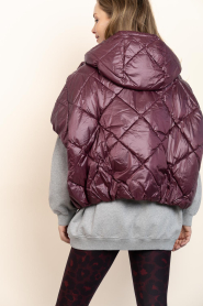 Deblon |  Padded bodywarmer Stevie | bordeaux | Picture 6
